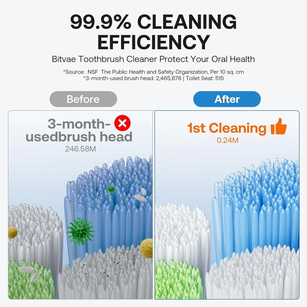 Bathroom Toothbrush Holder